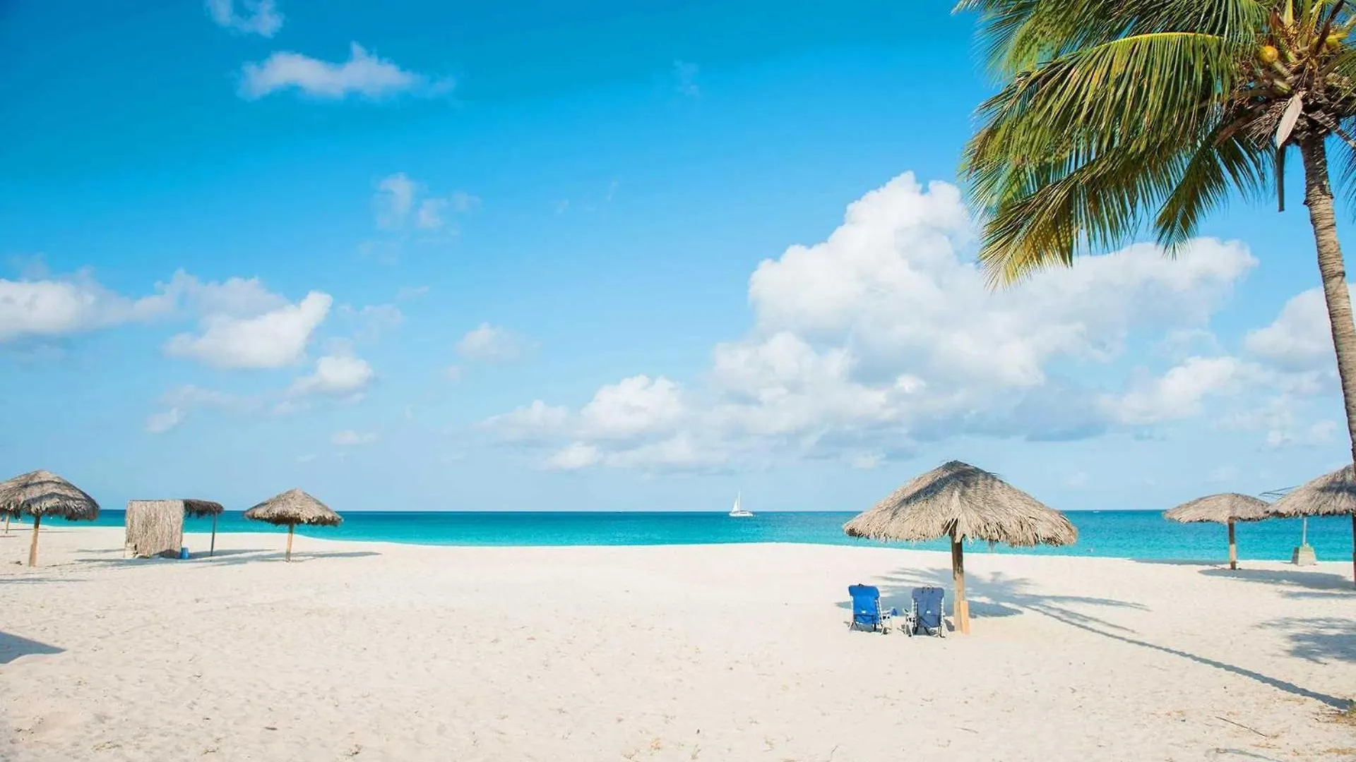 Beachfront - Royal Aquamarine 3Br Condo - Bc252 パームビーチ