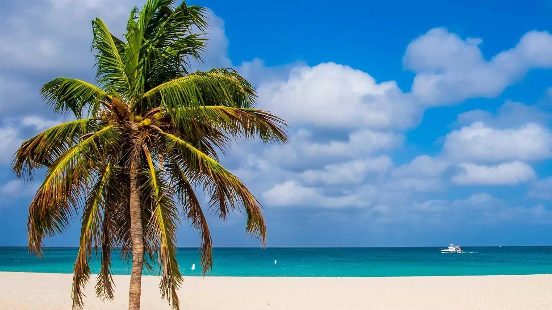 Beachfront - Royal Aquamarine 3Br Condo - Bc252 パームビーチ