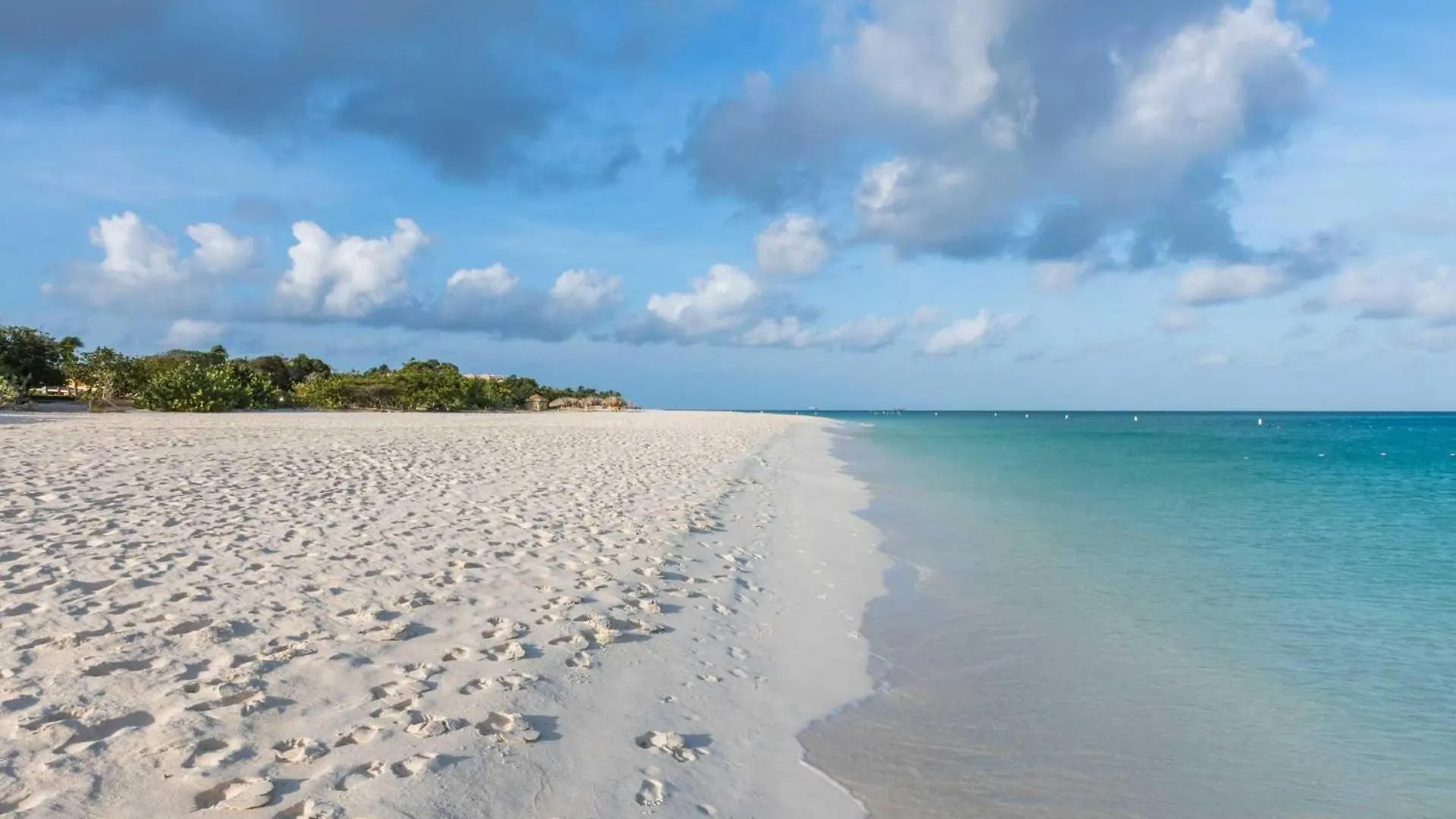 Beachfront - Royal Aquamarine 3Br Condo - Bc252 パームビーチ 0*,